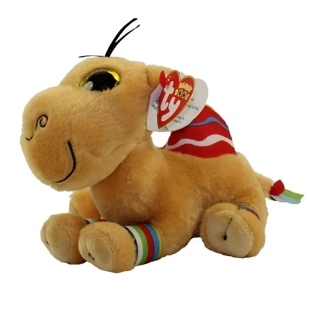 Jamal - Small Camel 1