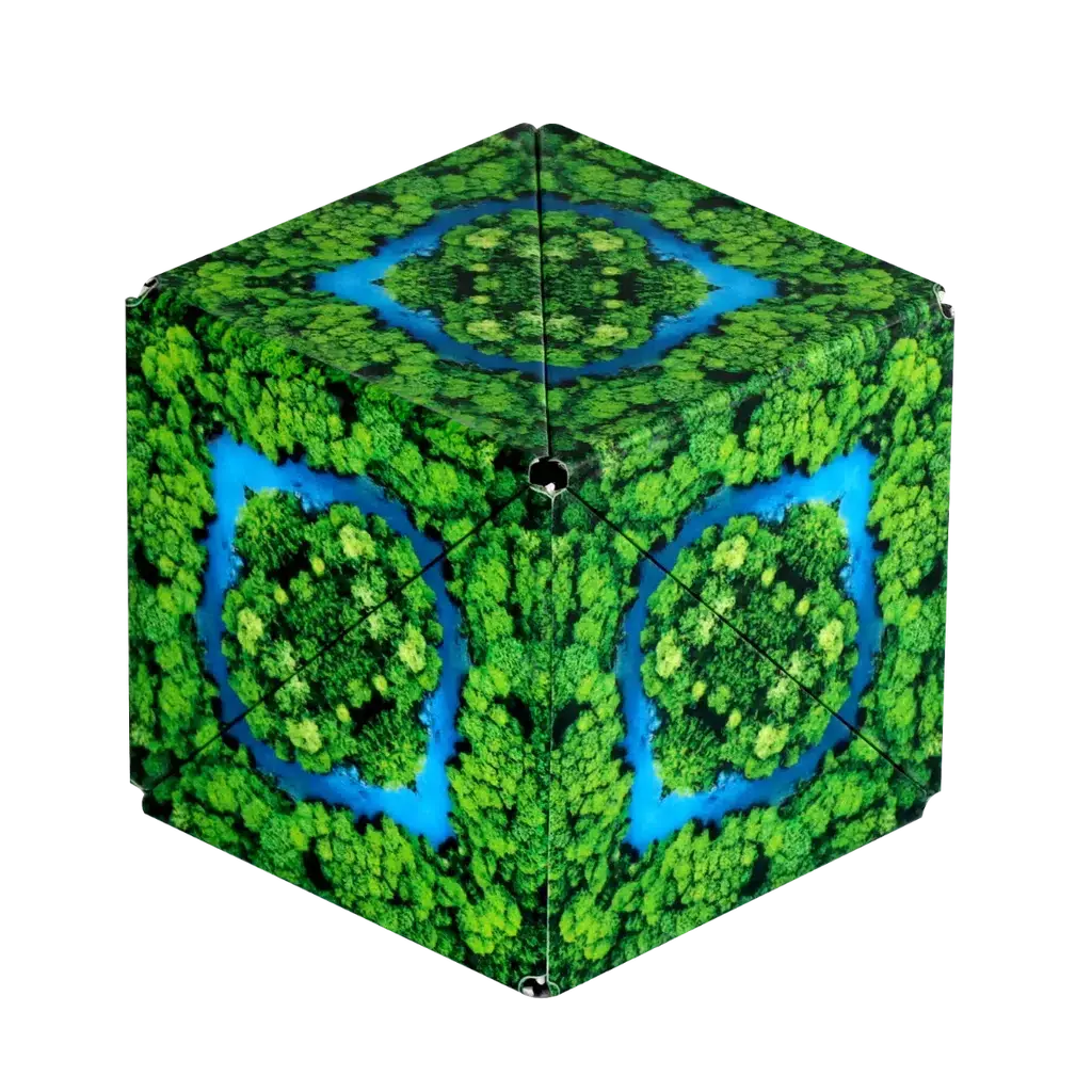 Jungle Shashibo 1