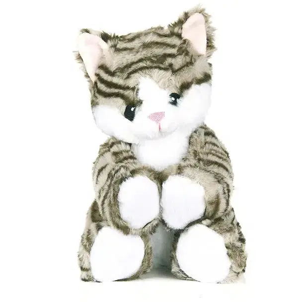Kitten Warm Pal 1