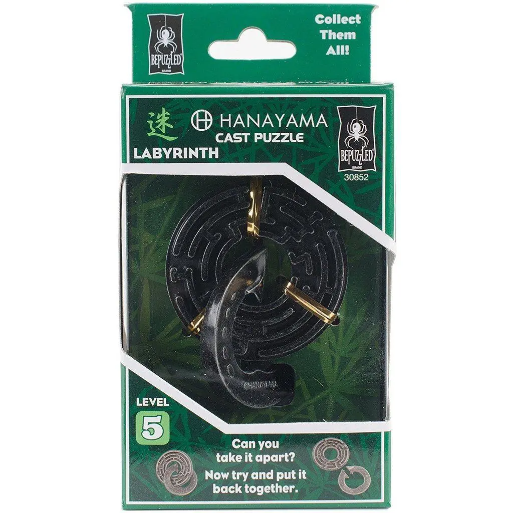 Labyrinth - Level 5 Hanayama Cast Puzzle 1