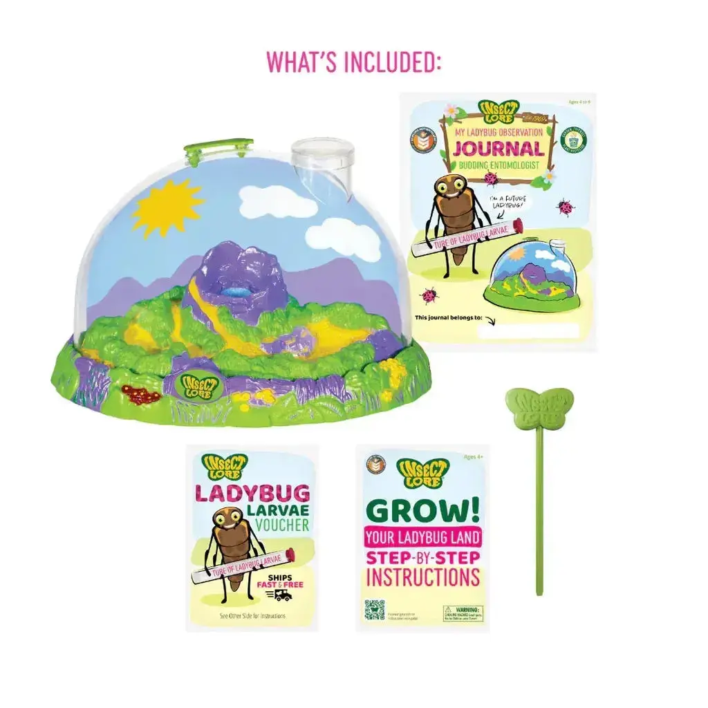 Ladybug Land With Prepaid Voucher 2