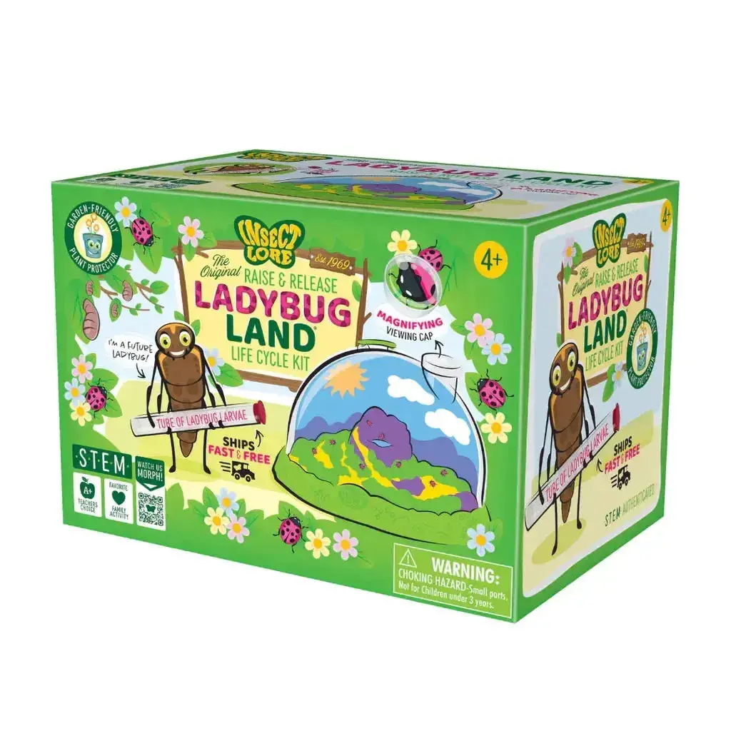 Ladybug Land With Prepaid Voucher 1
