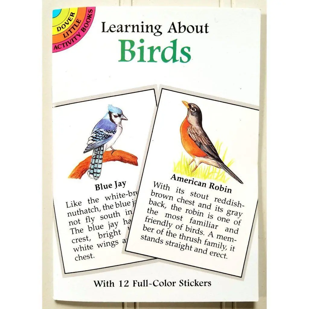 Learning About Birds 1