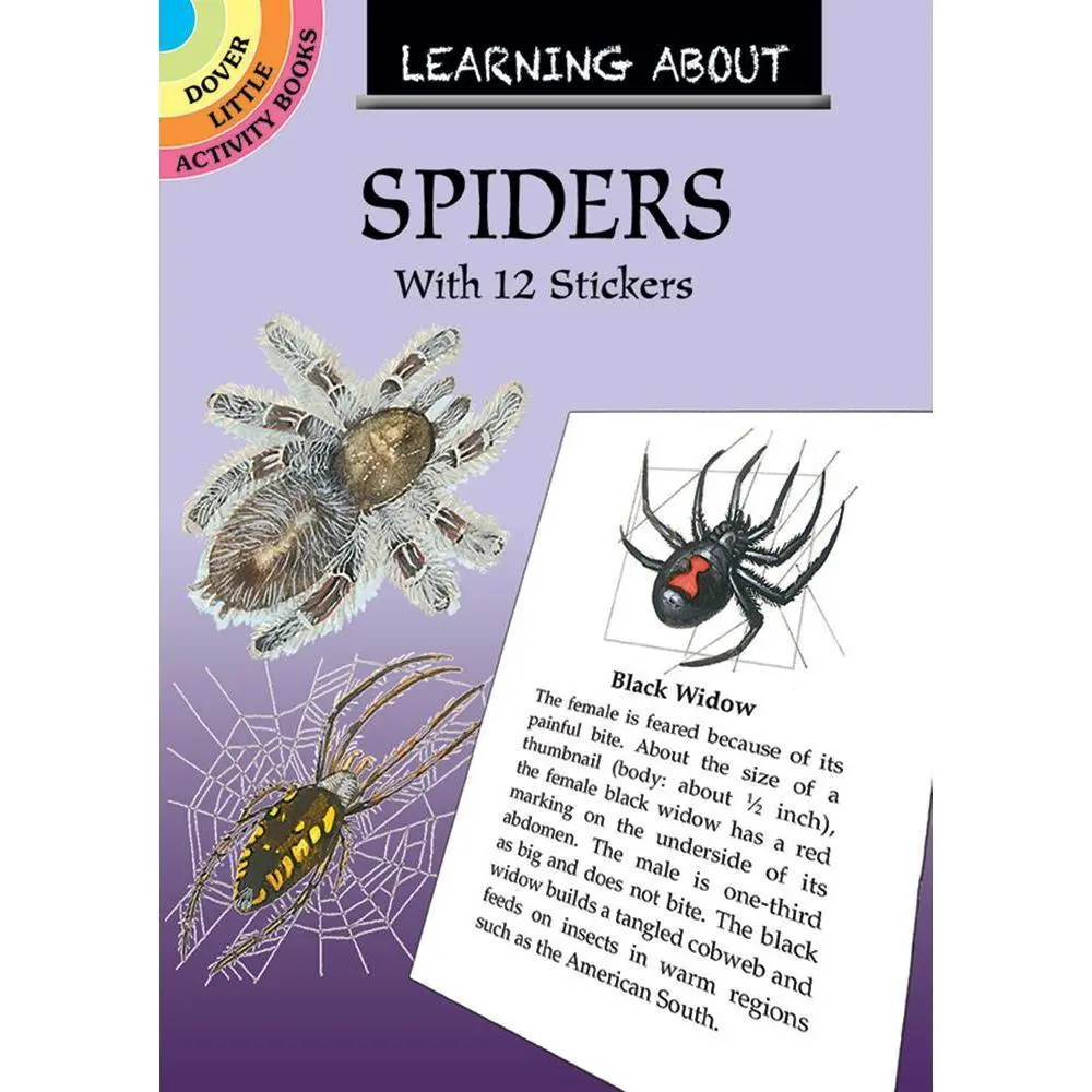 Learning About Spiders & Stickers 1