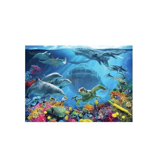 Life Underwater 1