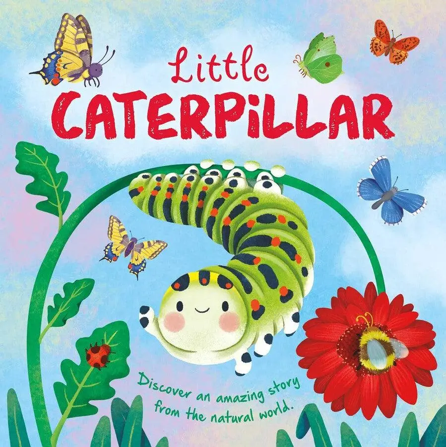 Little Caterpillar 1