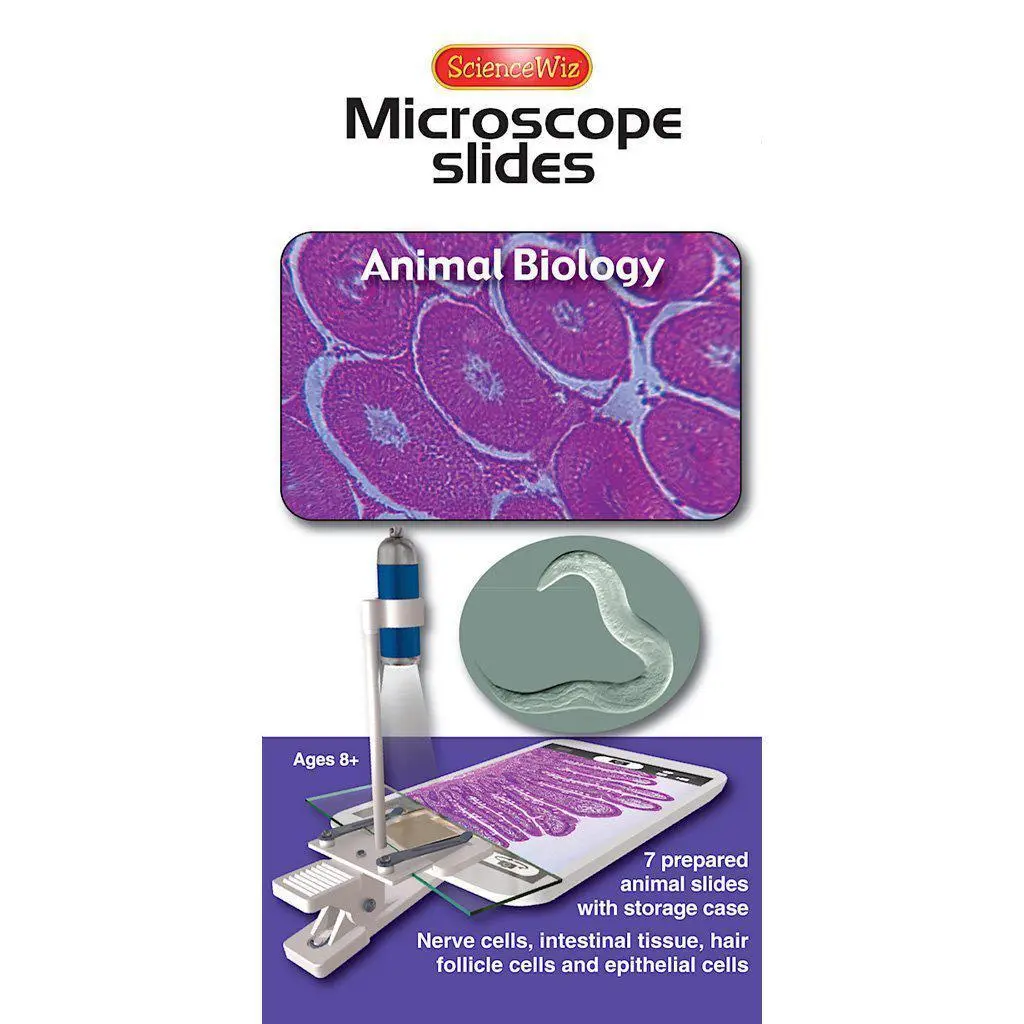 Microscope Slides: Animal Biology 1