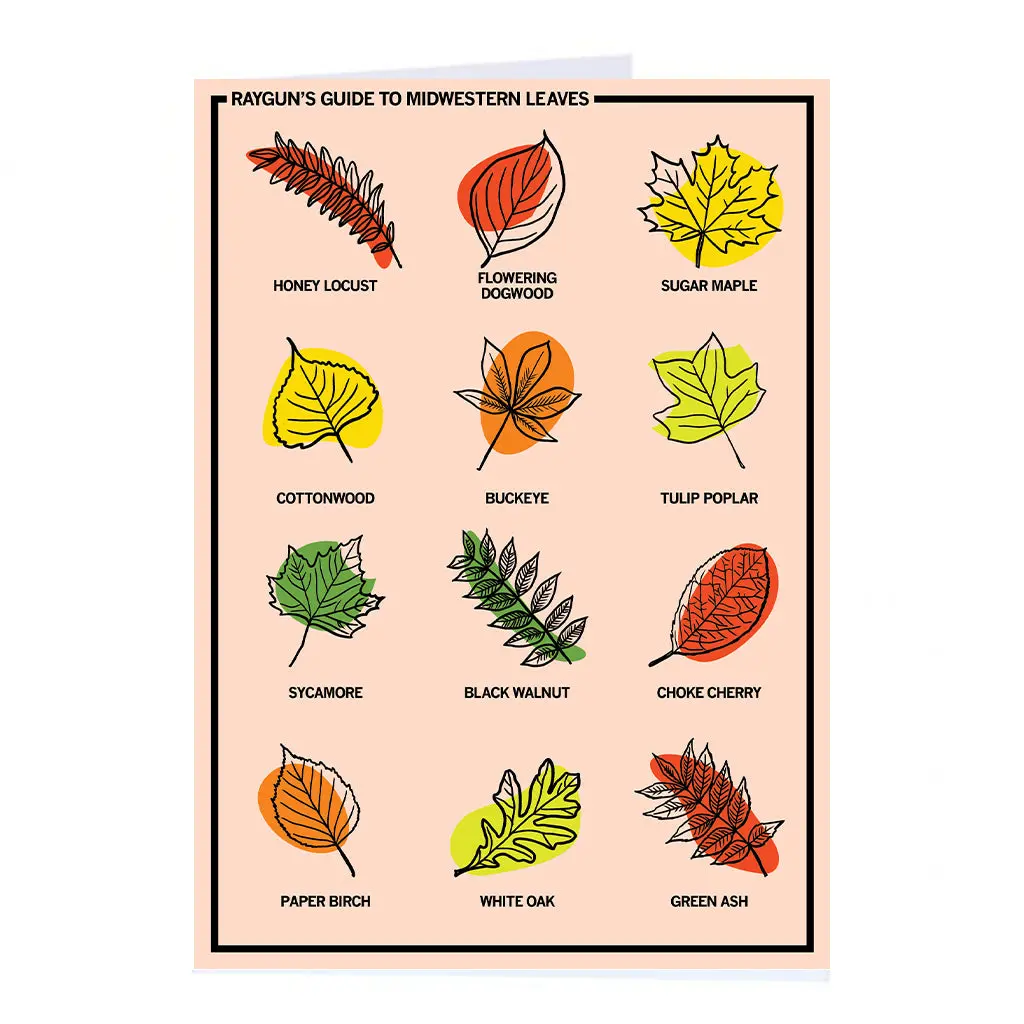 Midwestern Leaves Greeting Card 1