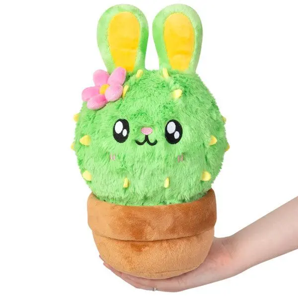 Mini Bunny Cactus 1