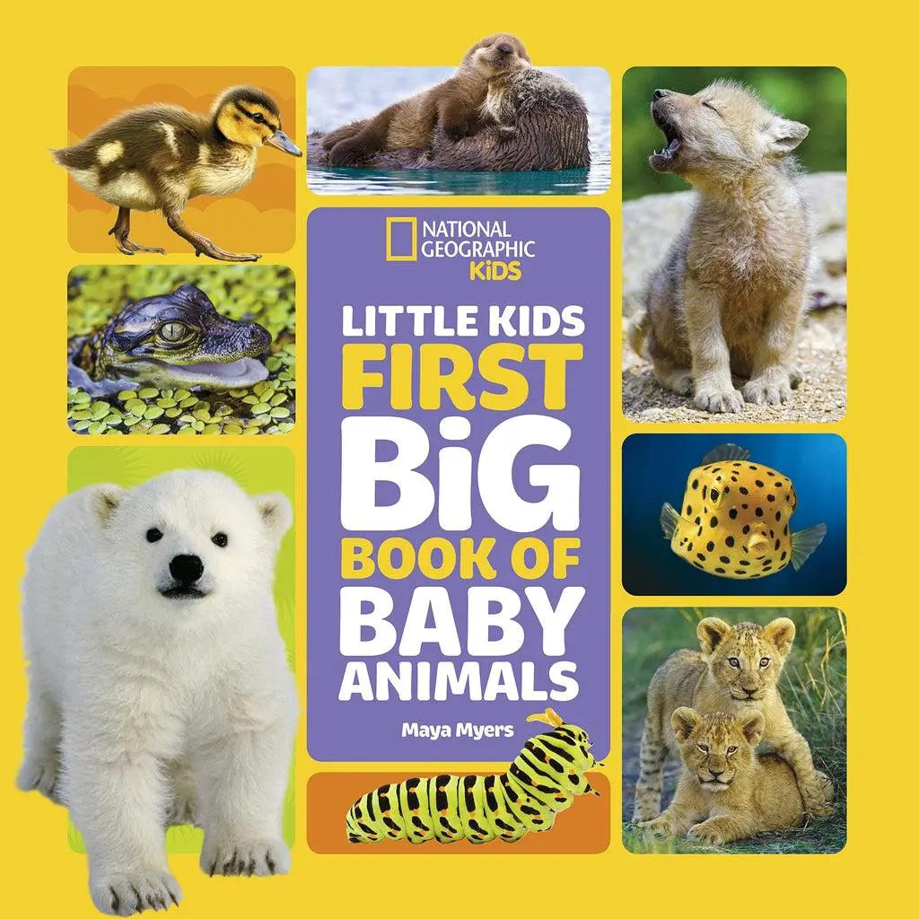 National Geographic Little Kids First Big Book Of Baby Animals 1