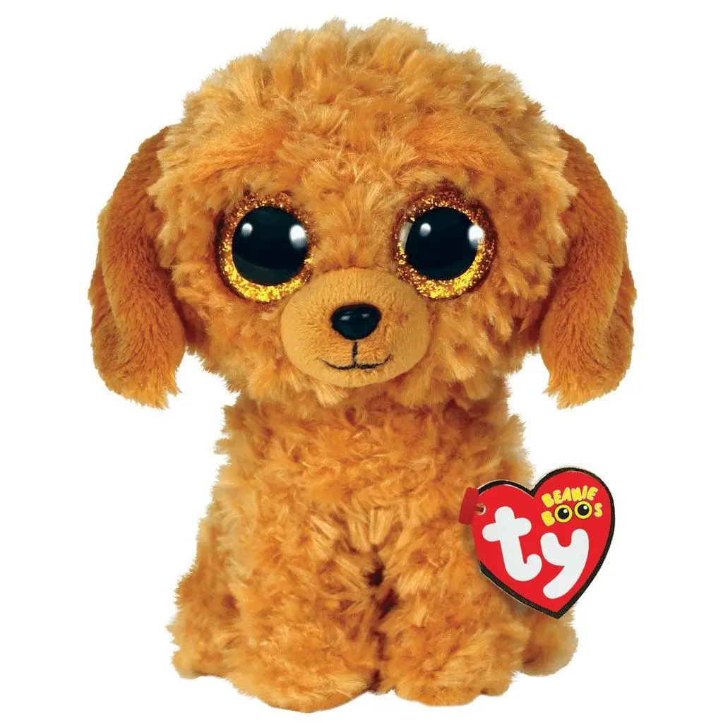 Noodles - Small Doodle Dog 1