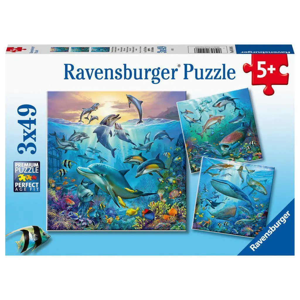 Ocean Life 3X 49Pc 1