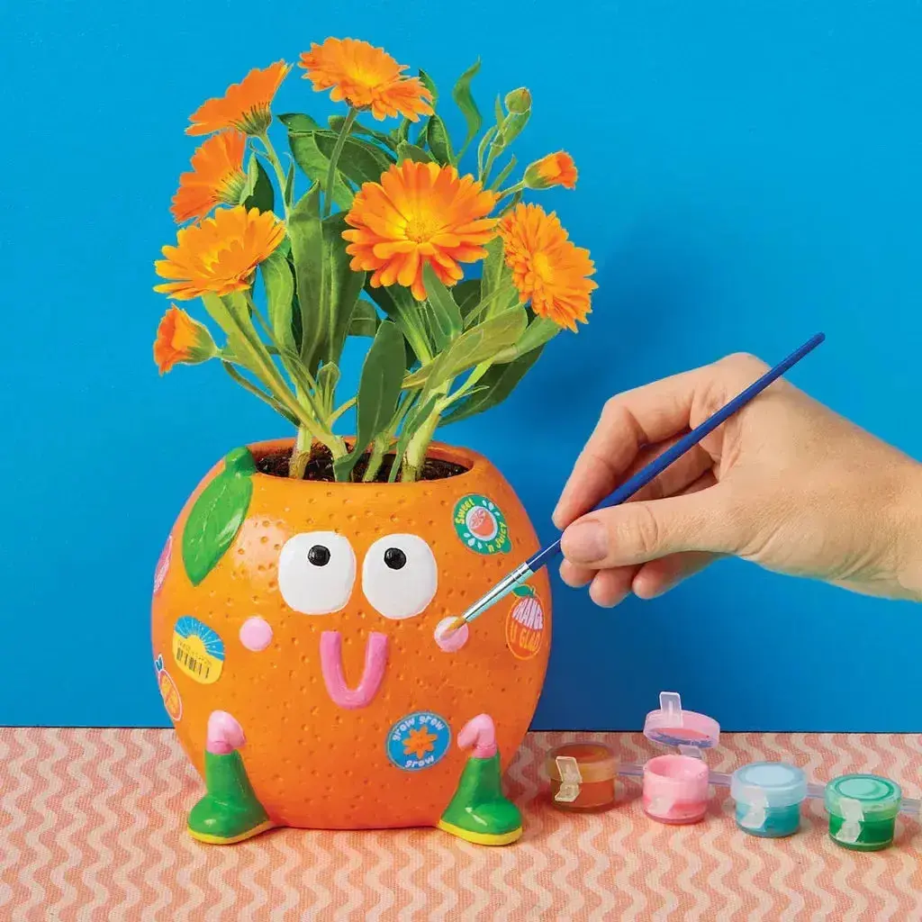 Paint & Grow Orange 2