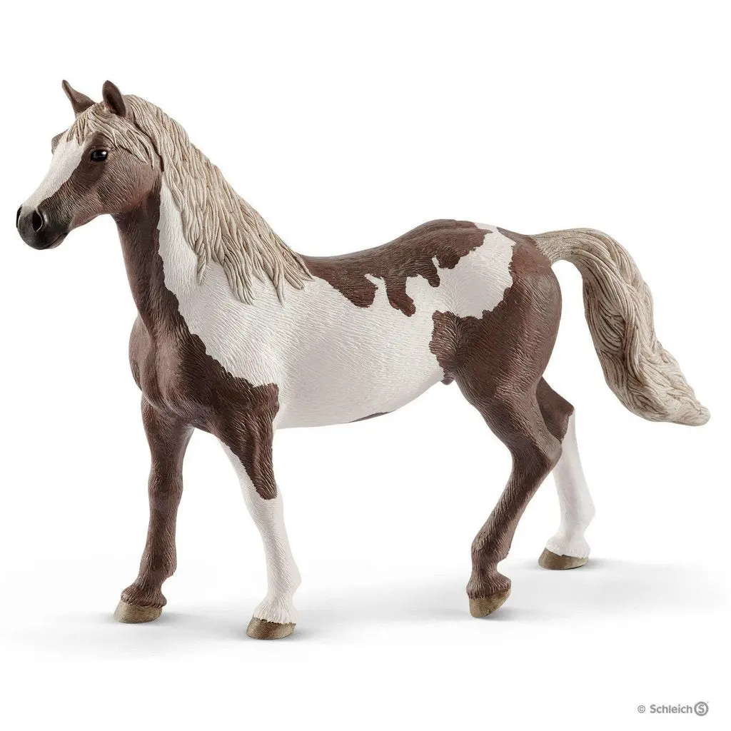 Paint Horse Gelding 1