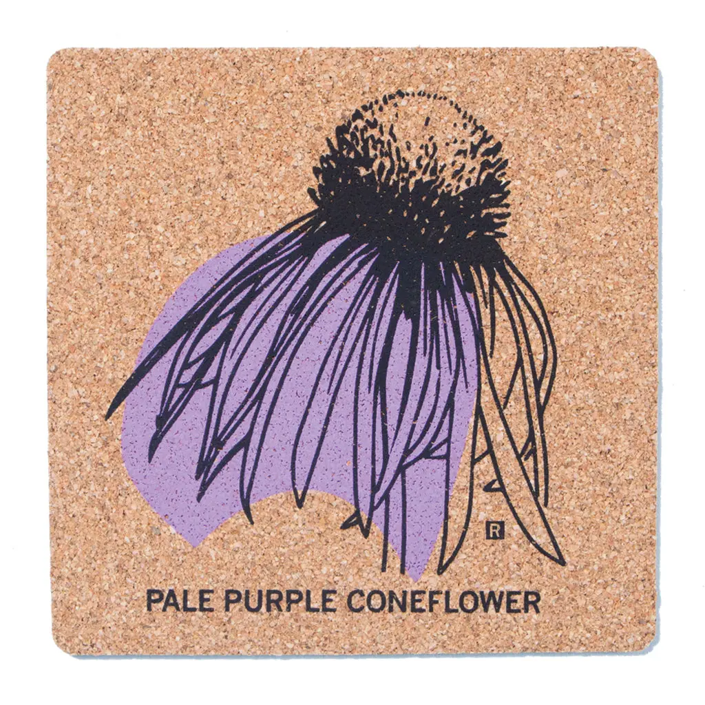 Pale Purple Coneflower Cork Coaster 1