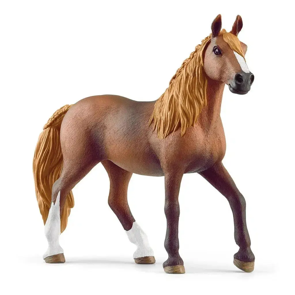 Paso Peruano Mare 1