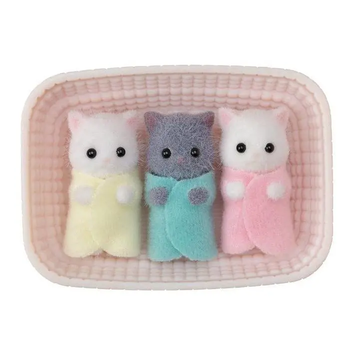Persian Cat Triplets 1