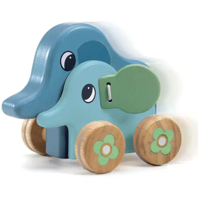Pitising Elephant Musical Push Along 1