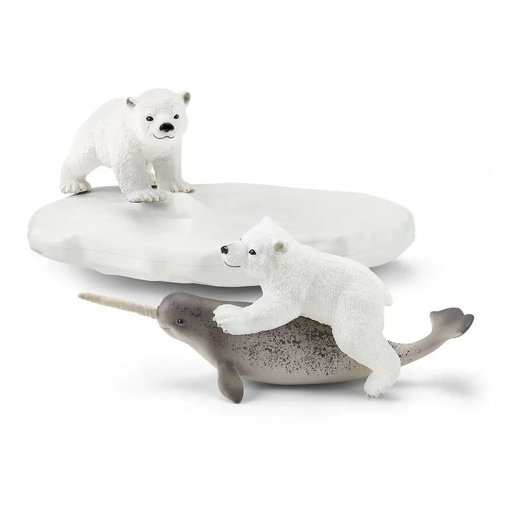 Polar Playground 1
