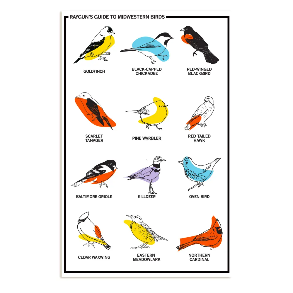 Midwestern Birds Poster 1