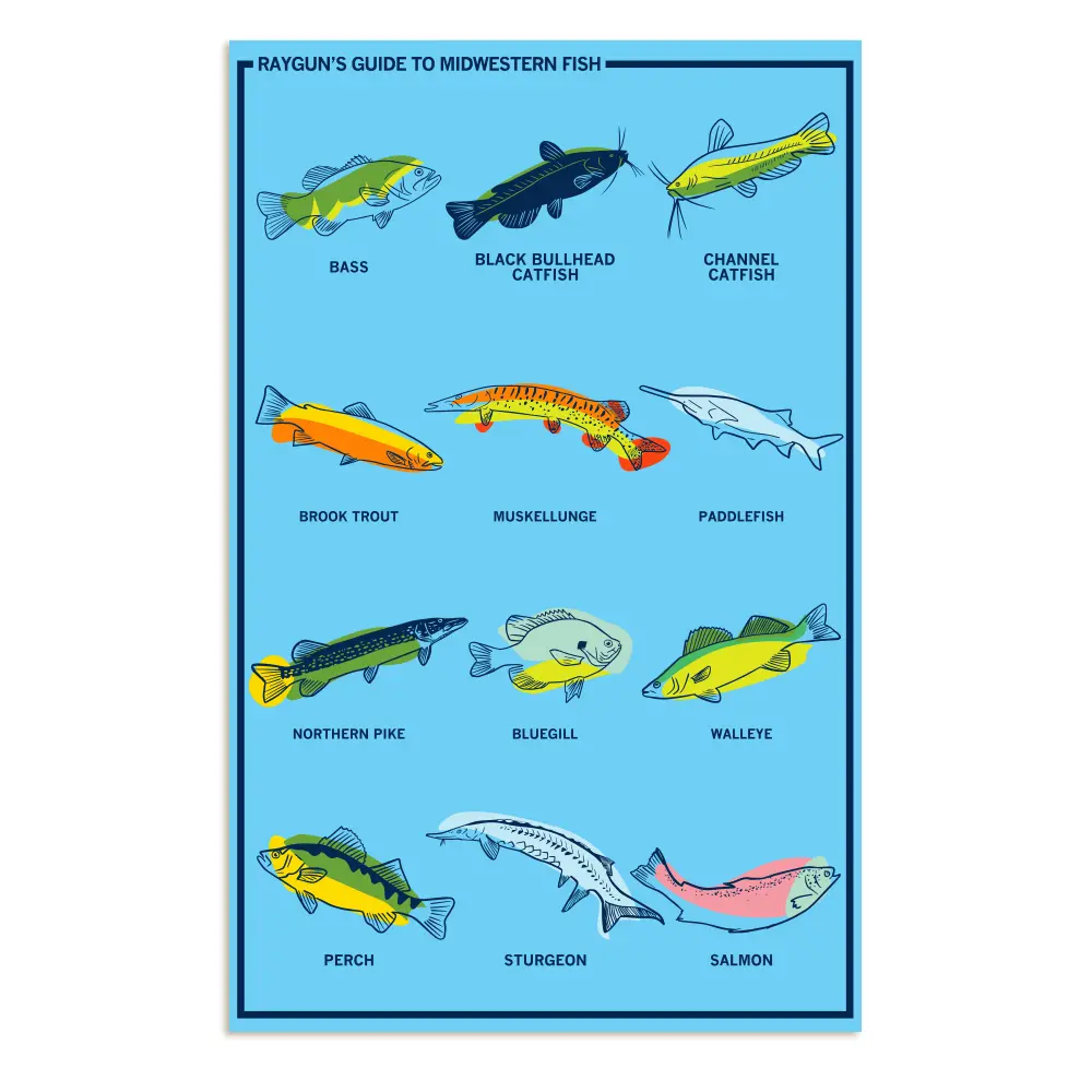 Midwestern Fish Poster 1
