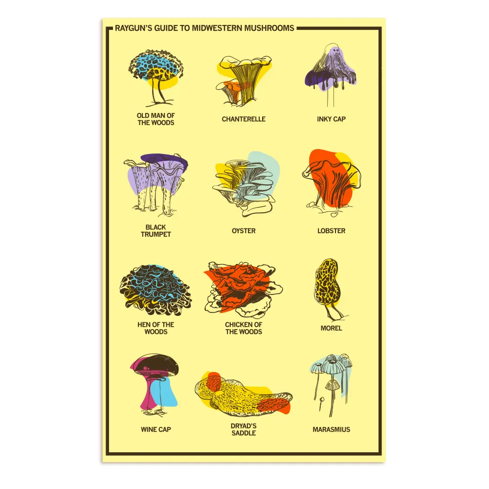 Midwestern Mushrooms Poster 1