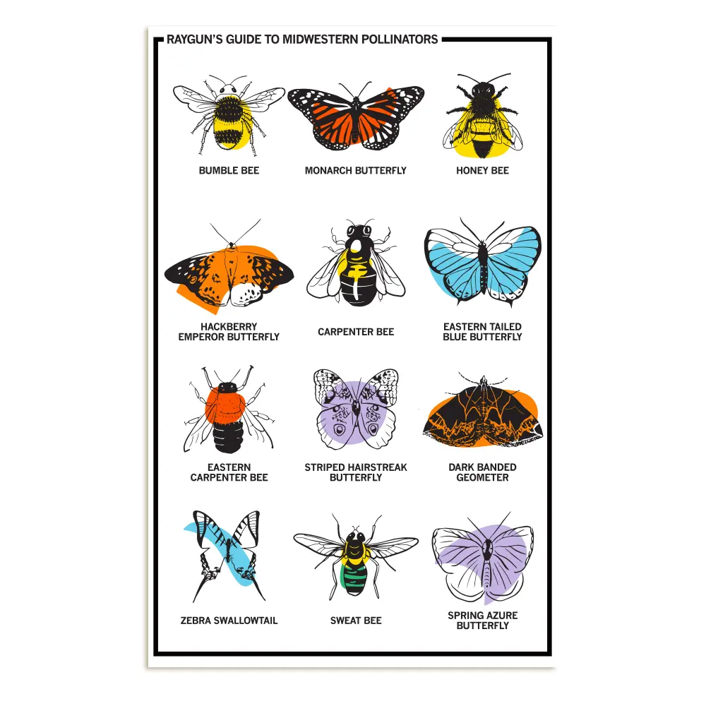 Midwestern Pollinators Poster 1
