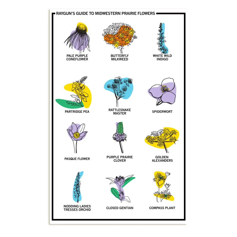 Midwestern Prairie Flowers Poster 1