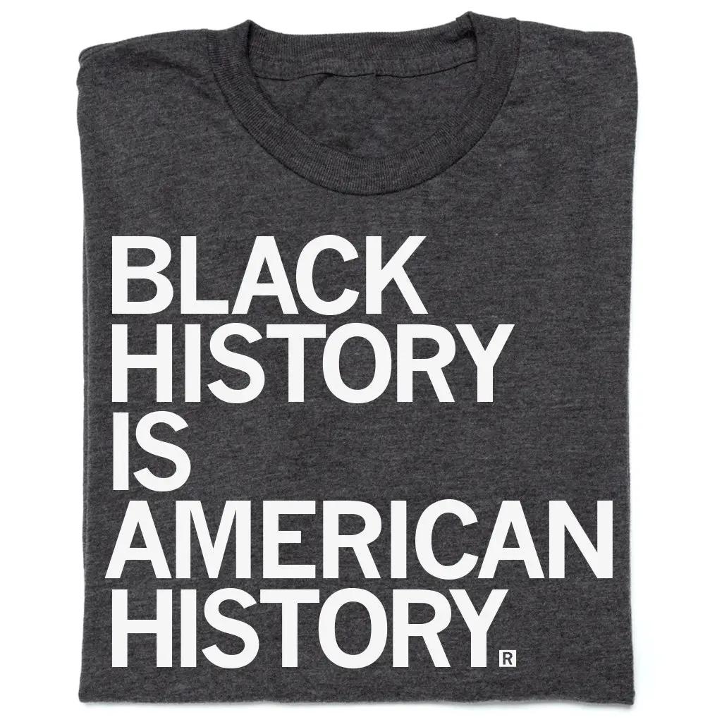 Black History Is American History 1