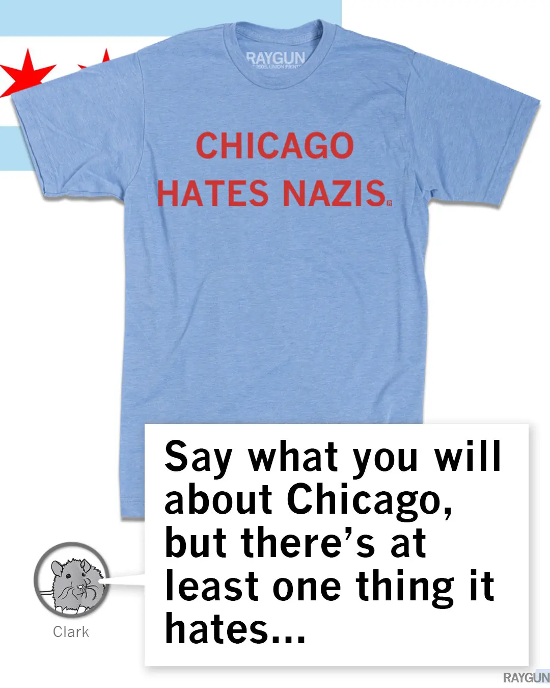 Chicago Hates Nazis 3