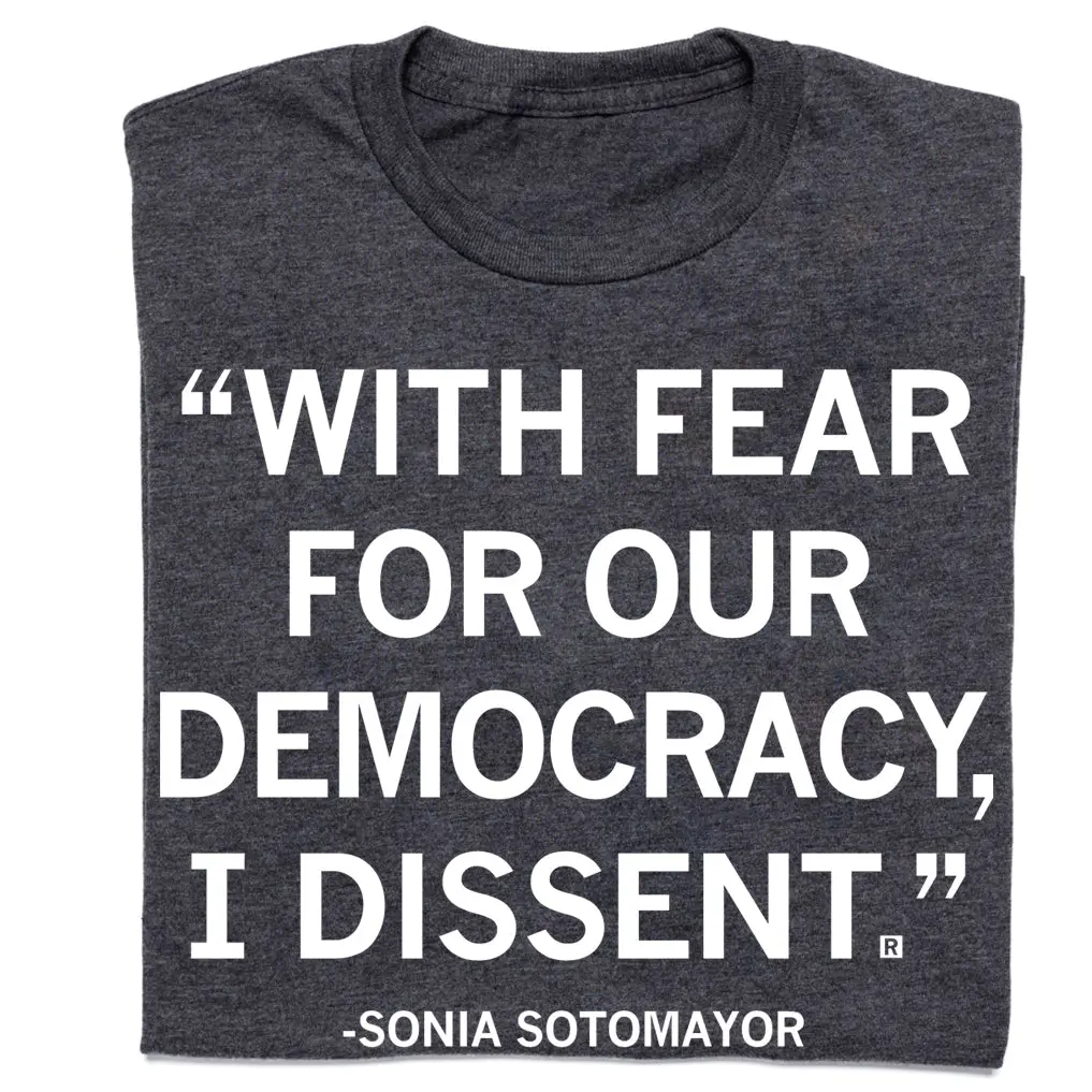 With Fear For Our Democracy 1