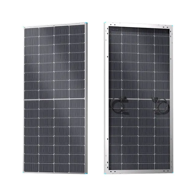 Renogy 16Bb N-Type 250 Watt Bifacial Solar Panel 1