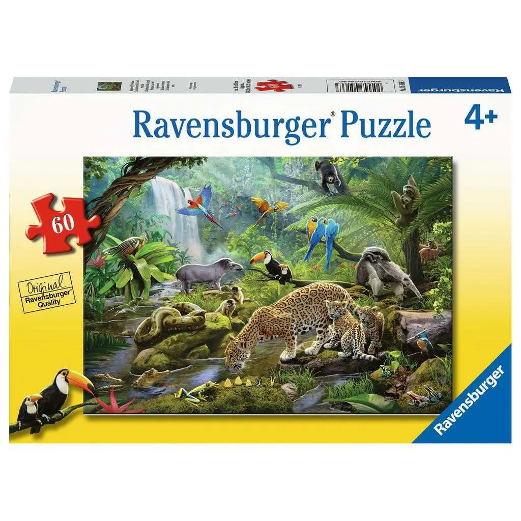 Rainforest Animals 1