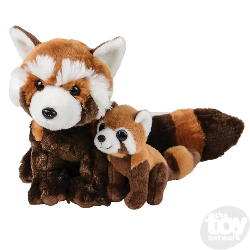 Red Panda - Birth Of Life 1
