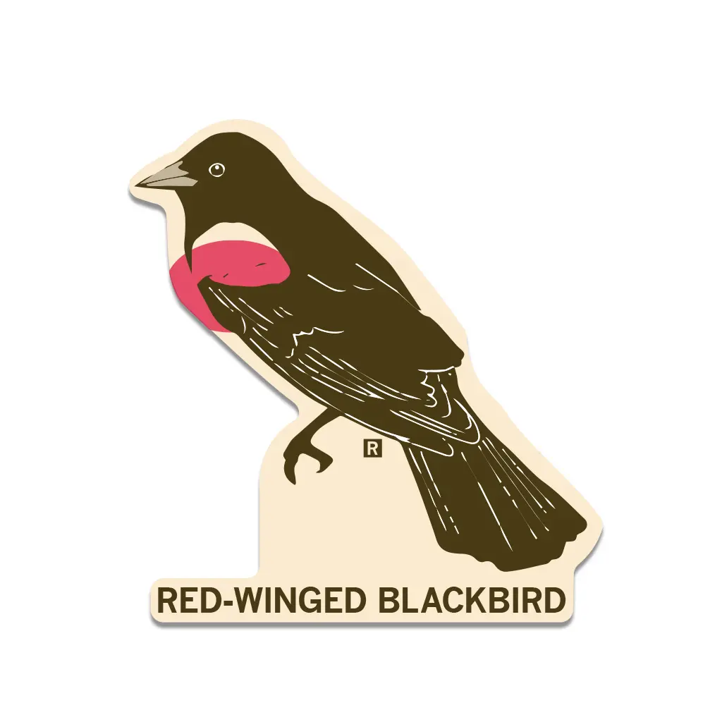 Red-Winged Blackbird Die-Cut Sticker 1