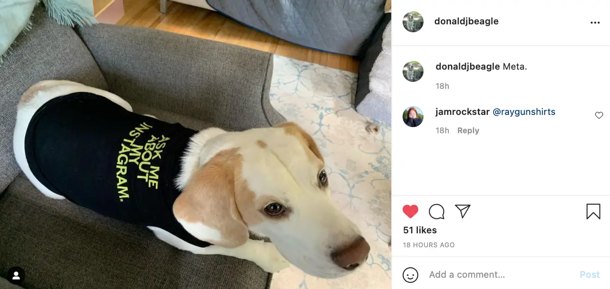 Ask Me About My Instagram Dog Shirt 7
