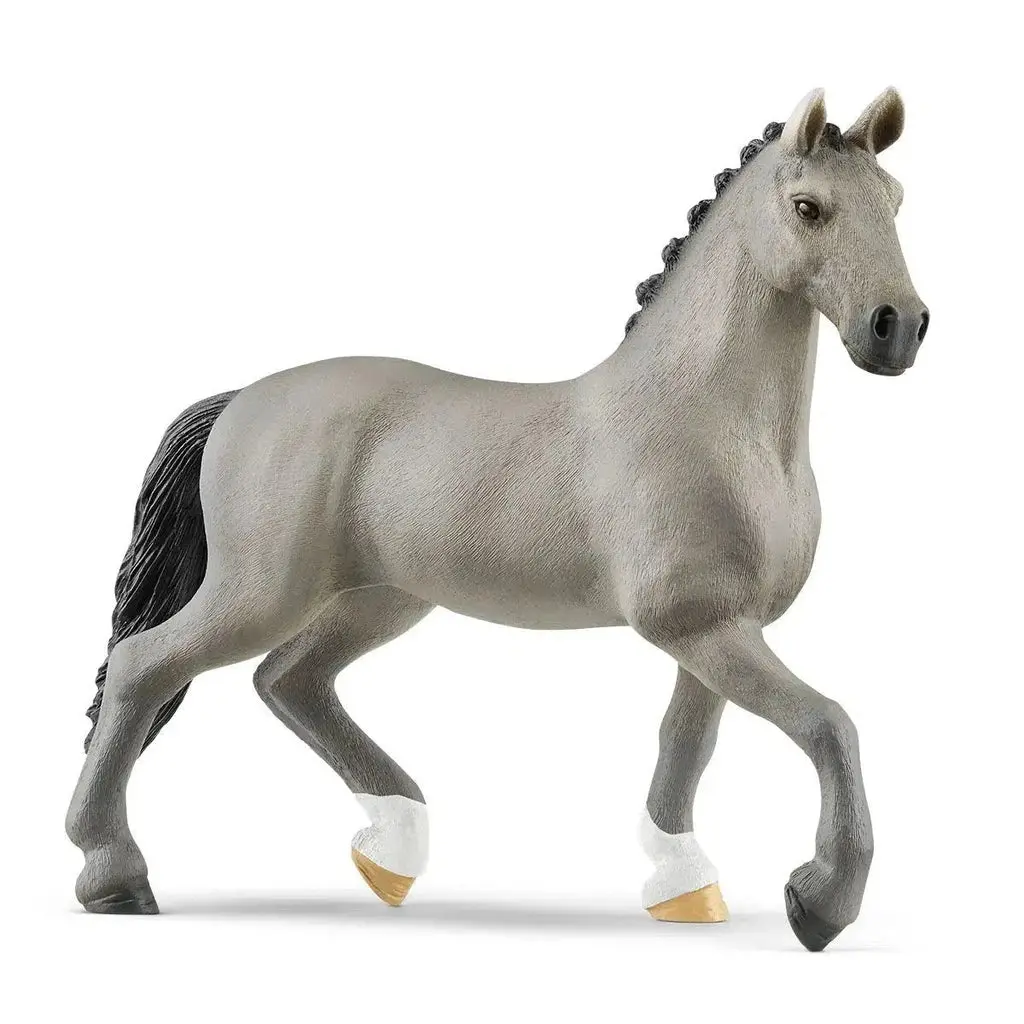 Selle Français Stallion 1