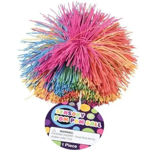 Sensory Pom Pom Ball 1