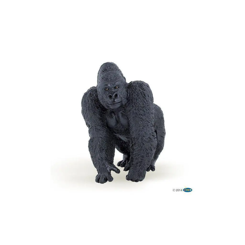 Silverback Gorilla 1