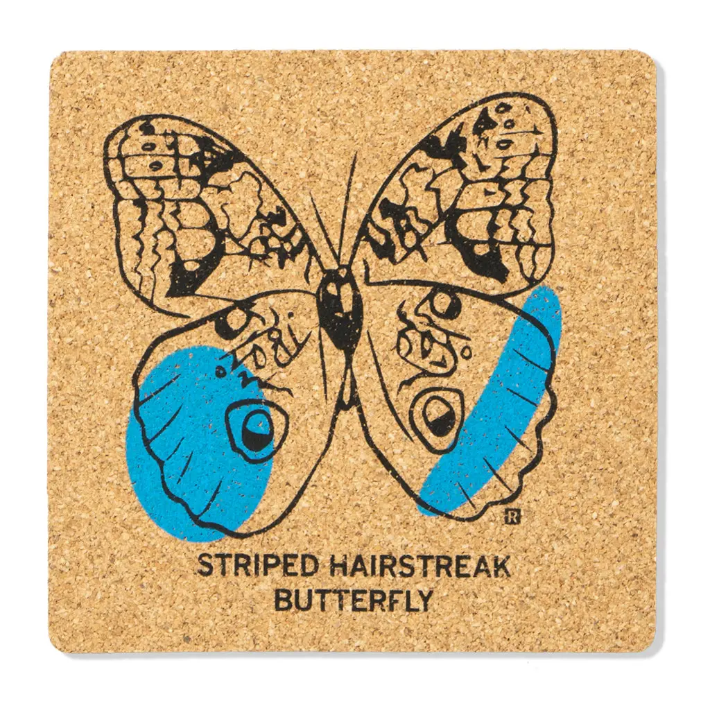 Striped Hairstreak Butterfly Cork Coaster 1
