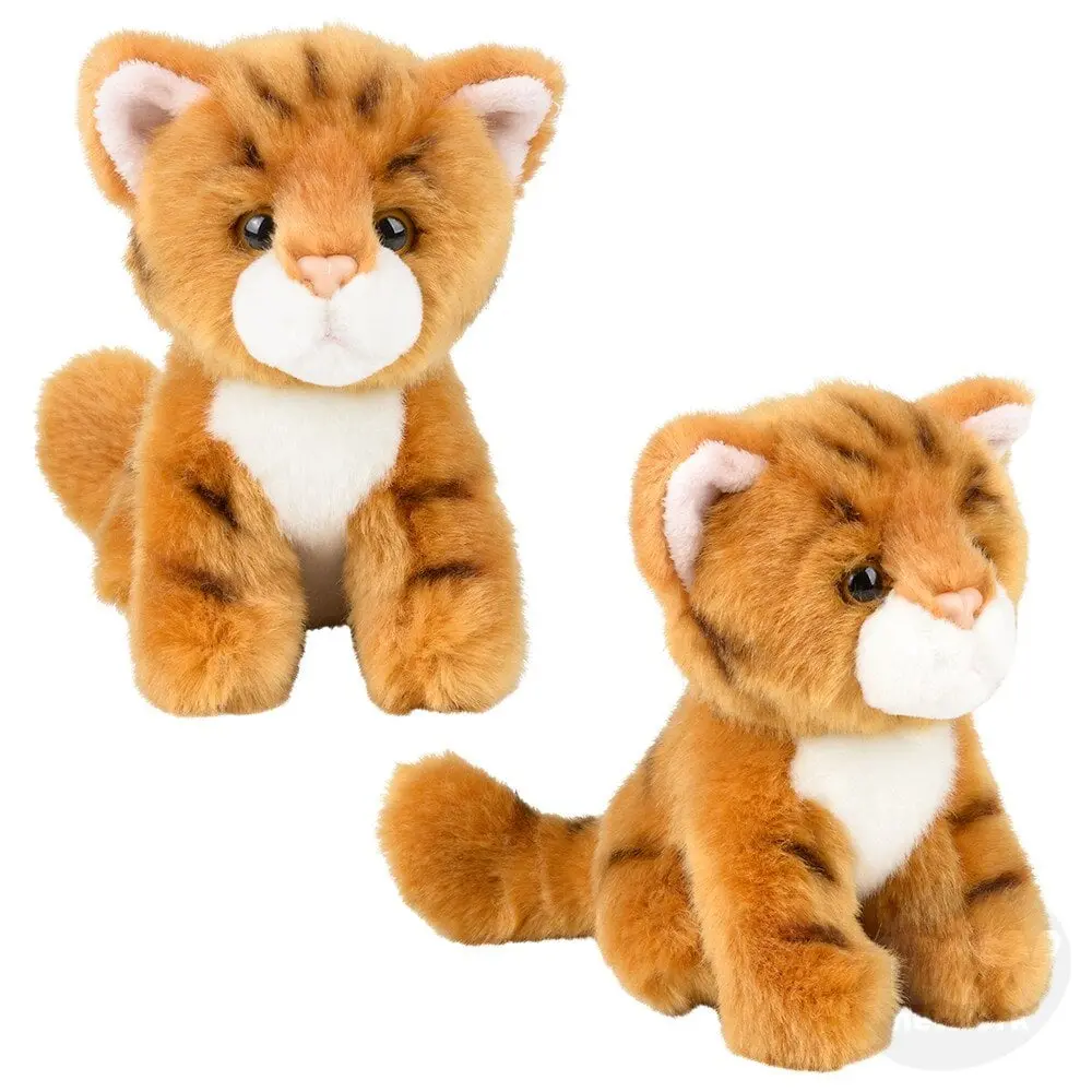 Tabby Cat - Birth Of Life 1