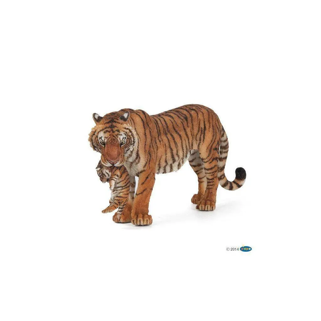 Tigress With Cub 1