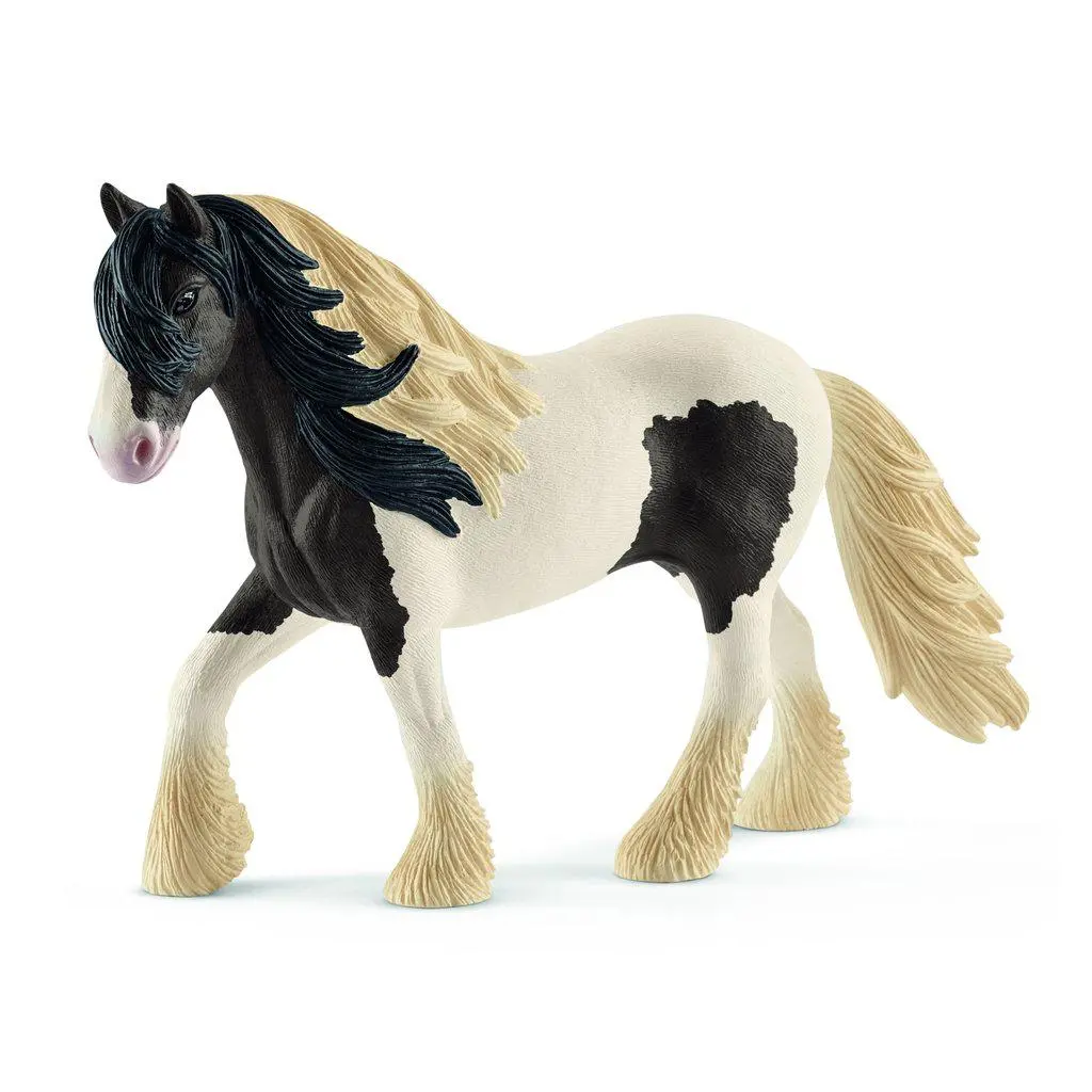 Tinker Stallion 1