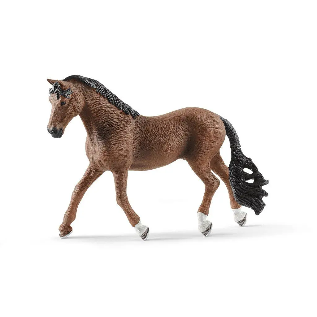 Trakehner Gelding 1