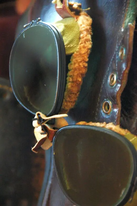 Foster Grant Glacier Goggles 2