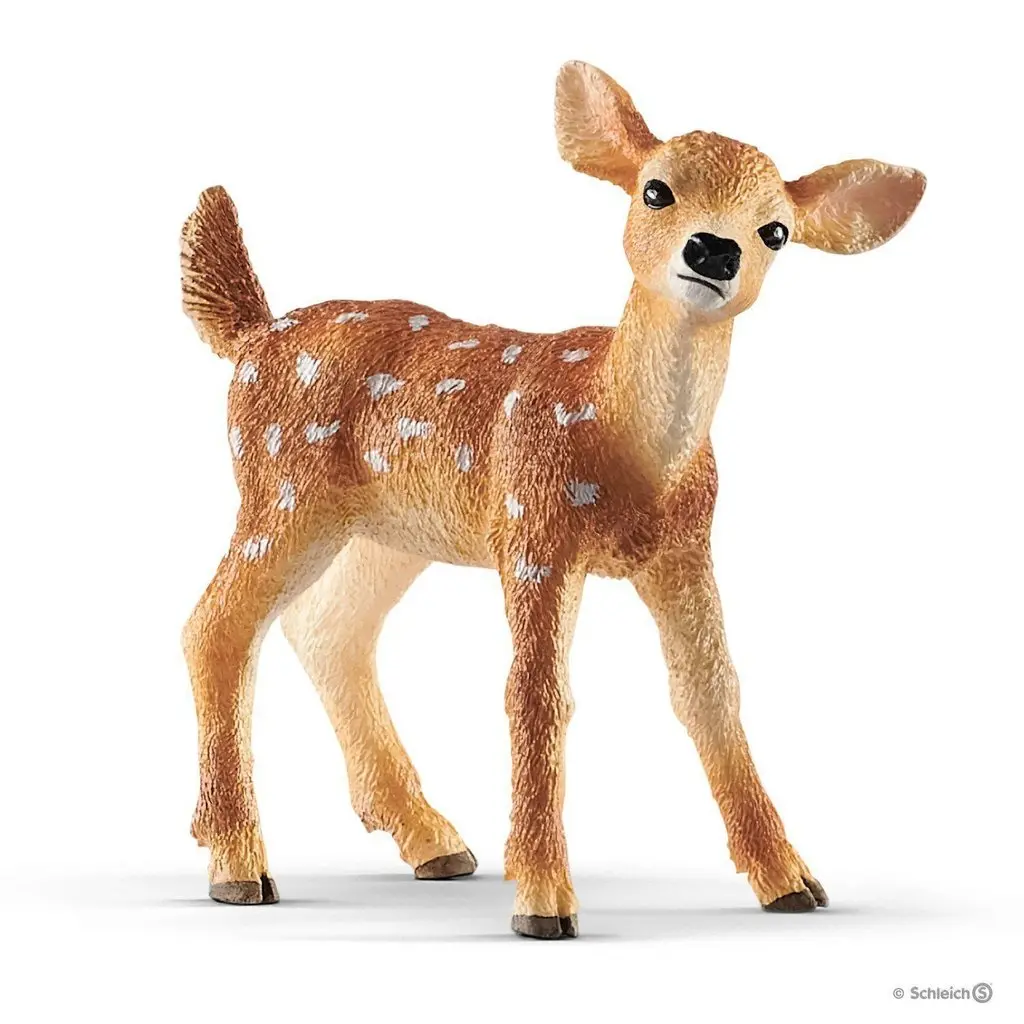 White-Tailed Fawn 1