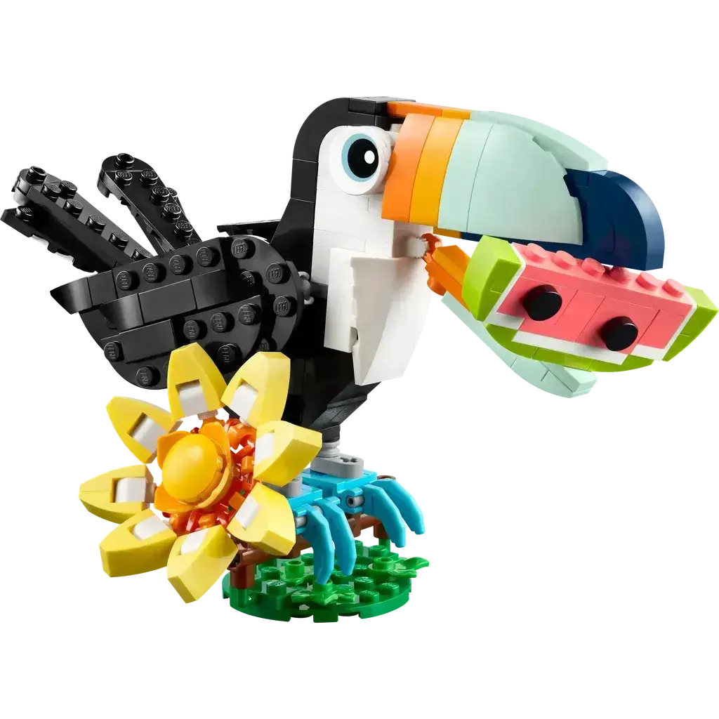 Wild Animals: Tropical Toucan 1