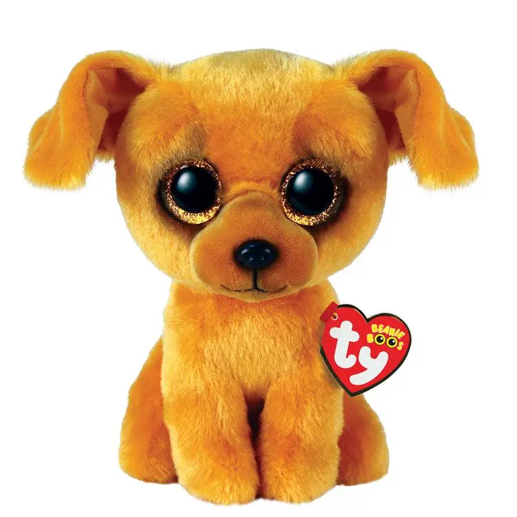 Zuzu - Small Dog 1