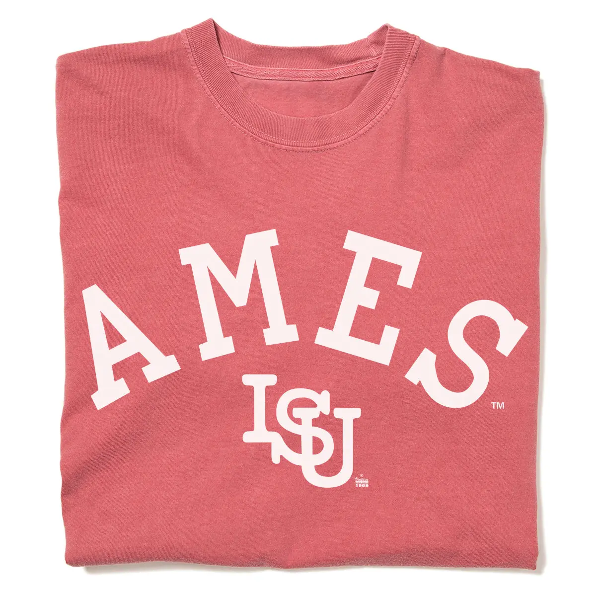 Ames Vintage Curved Logo Heavyweight Red 1