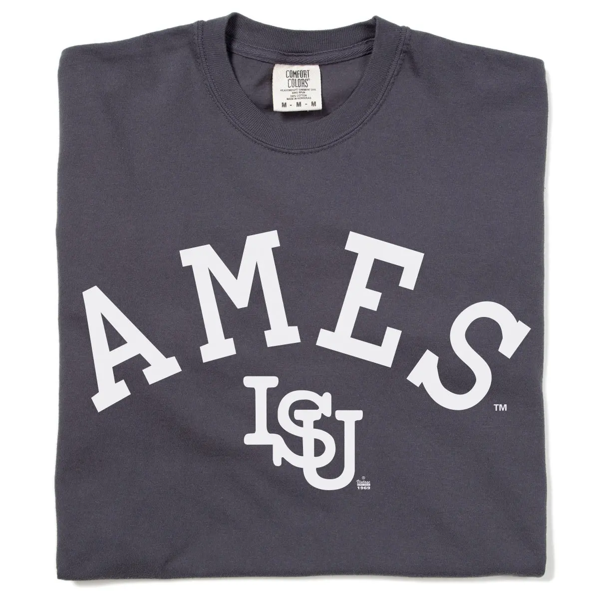 Ames Vintage Curved Logo Heavyweight Charcoal 1